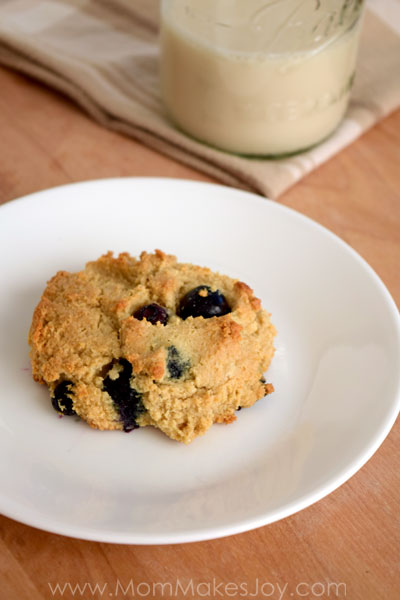 These delicious blueberry almond scones are Paleo friendly! Baked with almond flour and almond milk, these treats are gluten-free and dairy-free! 