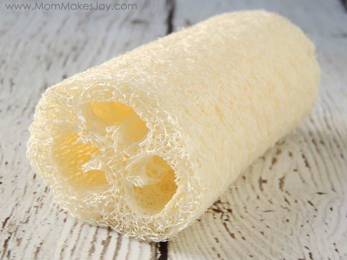 Loofah sponge